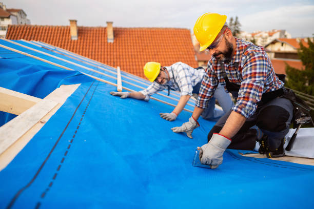 Best Gutter Installation and Repair  in New Knoxville, OH